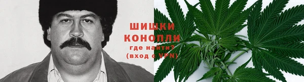 шишки Магадан