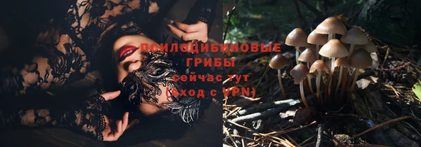 mdpv Орехово-Зуево